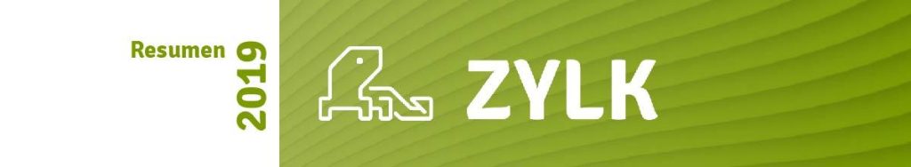 Resumen 2019 Zylk
